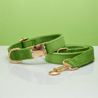 HKM-5731645 Striped Dog Collar with Leash - Available in Coral Orange, Light Water Green, Corn Yellow, Apple Green