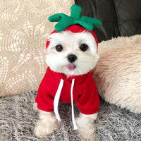HKM-5733821 Apple Costume for Small Dogs and Cats - Fruity Cotton Vest Shirt for Pets