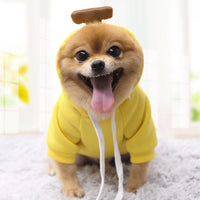 HKM-5733821 Apple Costume for Small Dogs and Cats - Fruity Cotton Vest Shirt for Pets