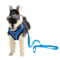 HKM-5735229 High-End Multi-Color Mesh Dog Harness for Comfortable Walks
