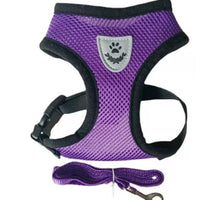 HKM-5735229 High-End Multi-Color Mesh Dog Harness for Comfortable Walks