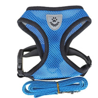 HKM-5735229 High-End Multi-Color Mesh Dog Harness for Comfortable Walks