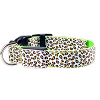 HKM-5737405 Rechargeable LED Dog Collar for Safety and Visibility at Night