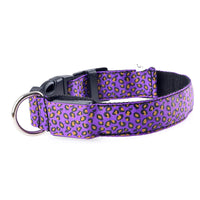 HKM-5737405 Rechargeable LED Dog Collar for Safety and Visibility at Night