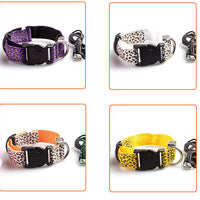 HKM-5737405 Rechargeable LED Dog Collar for Safety and Visibility at Night