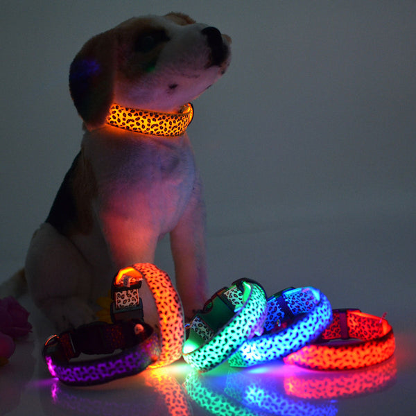 HKM-5737405 Rechargeable LED Dog Collar for Safety and Visibility at Night