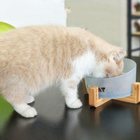 HKM-5741373 Oblique Glass Bowl for Cats and Dogs - High Borosilicate Glass, 164x98 mm, Anti-Tipping Design