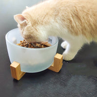 HKM-5741373 Oblique Glass Bowl for Cats and Dogs - High Borosilicate Glass, 164x98 mm, Anti-Tipping Design