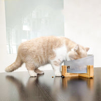 HKM-5741373 Oblique Glass Bowl for Cats and Dogs - High Borosilicate Glass, 164x98 mm, Anti-Tipping Design
