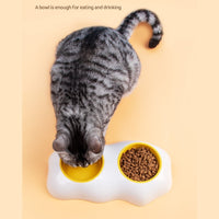 HKM-5742653 Double Pet Bowls for Food and Water with Non-Slip Base, Easy to Clean, Durable Design
