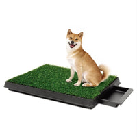 HKM-5746621 Eco-Friendly Lawn Toilet for Pets - Non-Foldable Design, 64x51x6.4cm