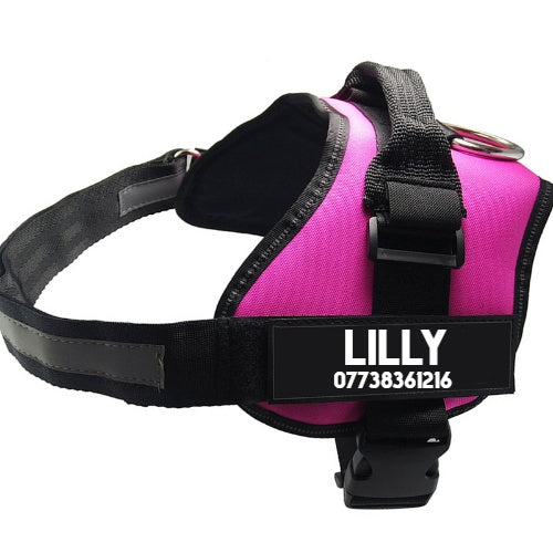 HKM-5747005 Adjustable Nylon Pet Chest Harness and Leash in Multiple Colors and Sizes