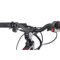HKM-575379 16 Inch Electric Balance Bike for Children Aged 3-15 with 36V Motor and Disc Brake