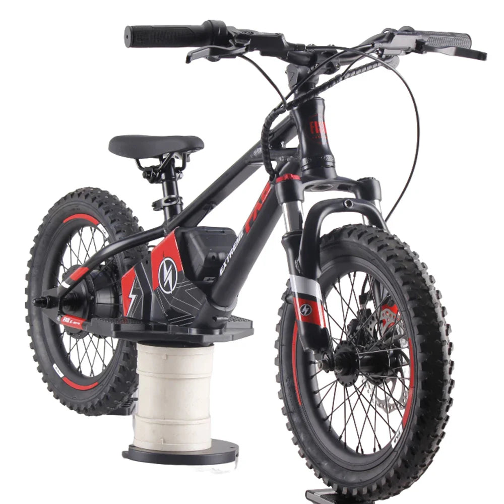 HKM-575379 16 Inch Electric Balance Bike for Children Aged 3-15 with 36V Motor and Disc Brake
