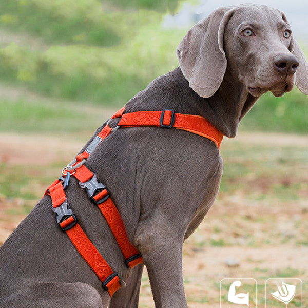 HKM-5755965 Nylon Dog Lead with Chest Strap for Comfortable Control - Available in Multiple Colors