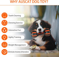 HKM-5758141 Durable Rubber Dumbbell Squeaky Toy for Medium & Large Dogs - Ideal for Aggressive Chewers