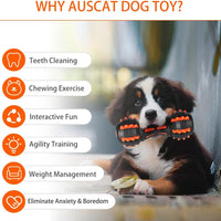 HKM-5758141 Durable Rubber Dumbbell Squeaky Toy for Medium & Large Dogs - Ideal for Aggressive Chewers