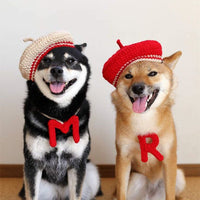 HKM-5761469 Hand-Knitted Mixed Color Beret for Pets - Wool Dog Hat and Collar Set