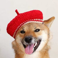 HKM-5761469 Hand-Knitted Mixed Color Beret for Pets - Wool Dog Hat and Collar Set