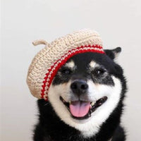 HKM-5761469 Hand-Knitted Mixed Color Beret for Pets - Wool Dog Hat and Collar Set