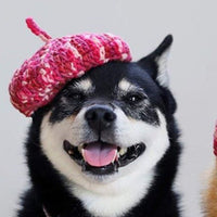 HKM-5761469 Hand-Knitted Mixed Color Beret for Pets - Wool Dog Hat and Collar Set