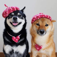 HKM-5761469 Hand-Knitted Mixed Color Beret for Pets - Wool Dog Hat and Collar Set