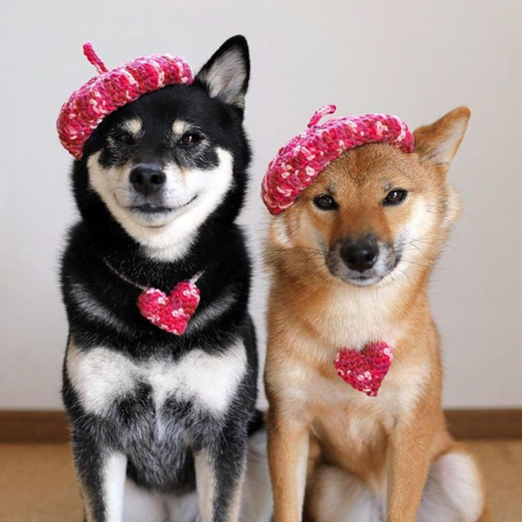 HKM-5761469 Hand-Knitted Mixed Color Beret for Pets - Wool Dog Hat and Collar Set