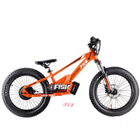 HKM-576531 20 Inch Electric Balance Bike for Kids, Aluminum Alloy Frame, 800W Motor, Ideal for Ages 5-12 Years, Lightweight Design
