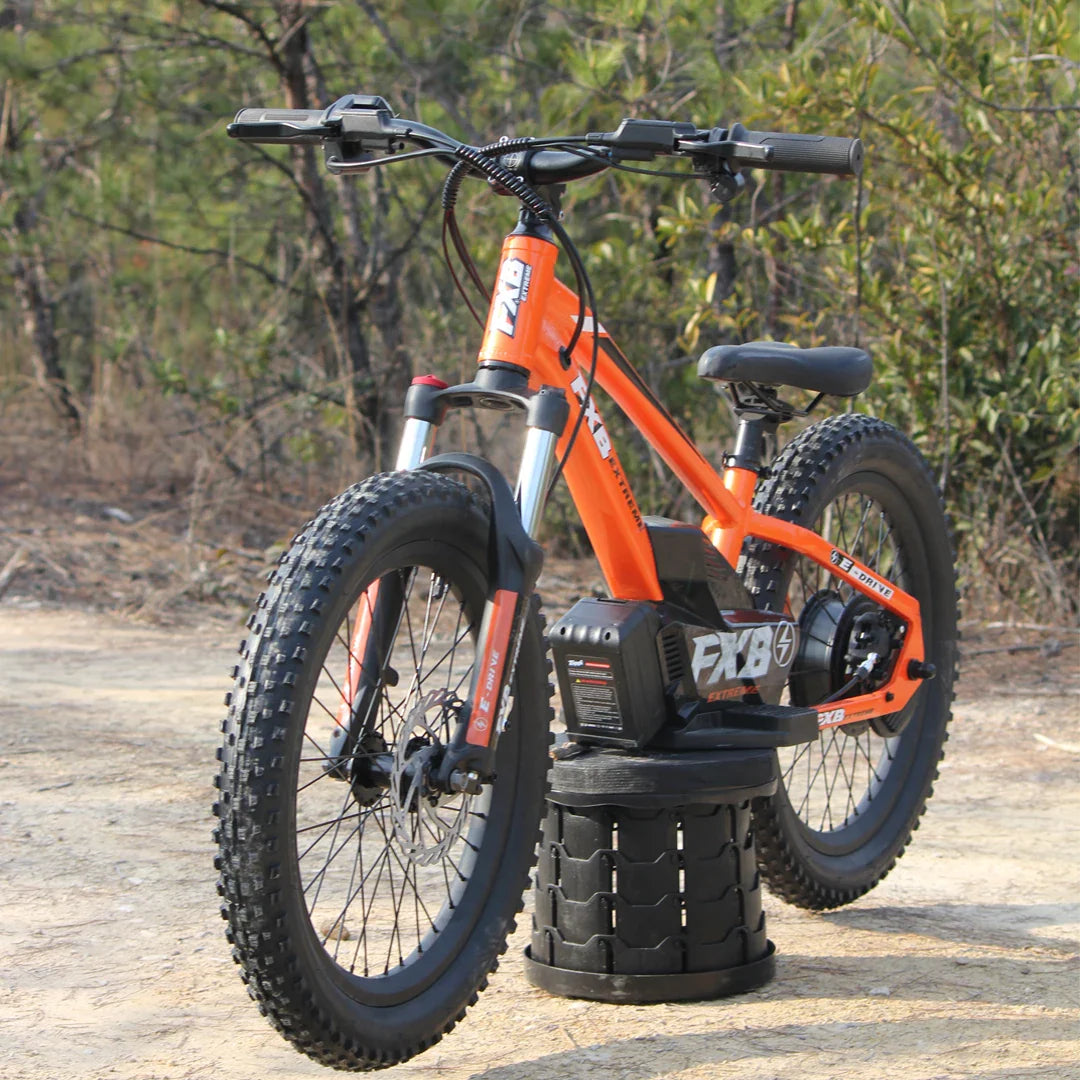 HKM-576531 20 Inch Electric Balance Bike for Kids, Aluminum Alloy Frame, 800W Motor, Ideal for Ages 5-12 Years, Lightweight Design