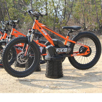 HKM-576531 20 Inch Electric Balance Bike for Kids, Aluminum Alloy Frame, 800W Motor, Ideal for Ages 5-12 Years, Lightweight Design