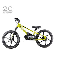 HKM-576531 20 Inch Electric Balance Bike for Kids, Aluminum Alloy Frame, 800W Motor, Ideal for Ages 5-12 Years, Lightweight Design