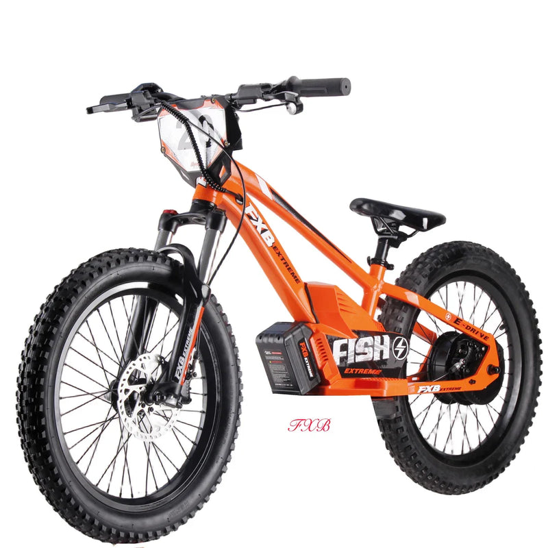 HKM-576531 20 Inch Electric Balance Bike for Kids, Aluminum Alloy Frame, 800W Motor, Ideal for Ages 5-12 Years, Lightweight Design