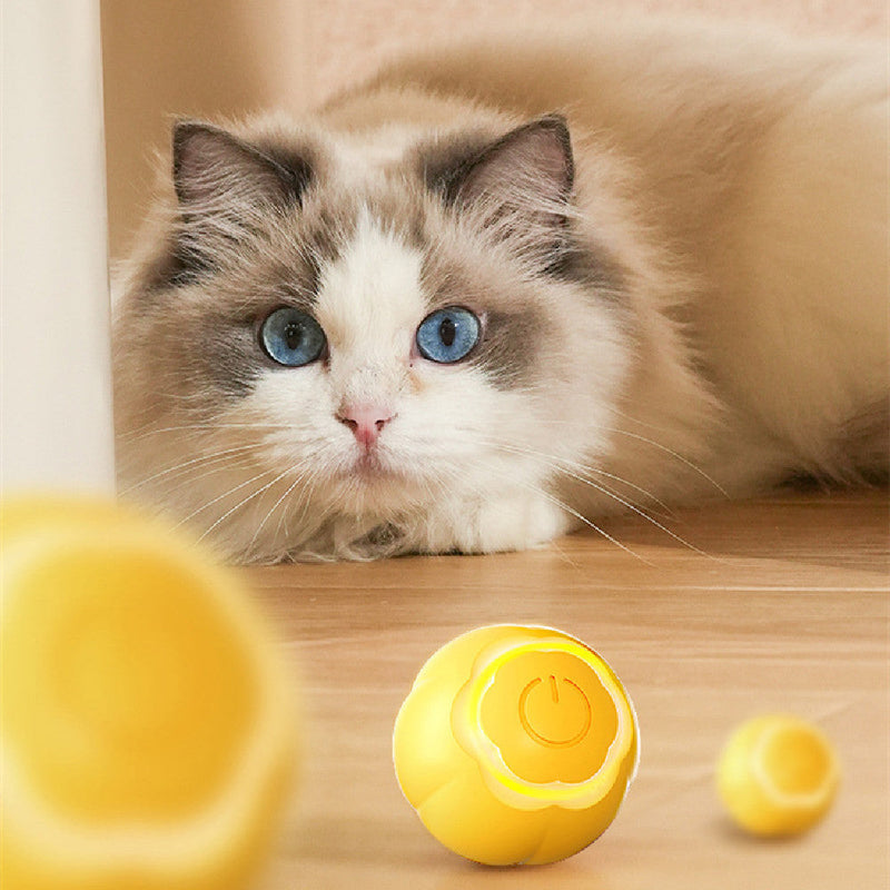 HKM-576723 Pet Smart Rolling Ball Cat Toy Bite-resistant Boredom Relief