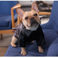 HKM-5768765 Warm Pet Winter Windbreaker for Dogs - Casual Style in Red or Black Plush