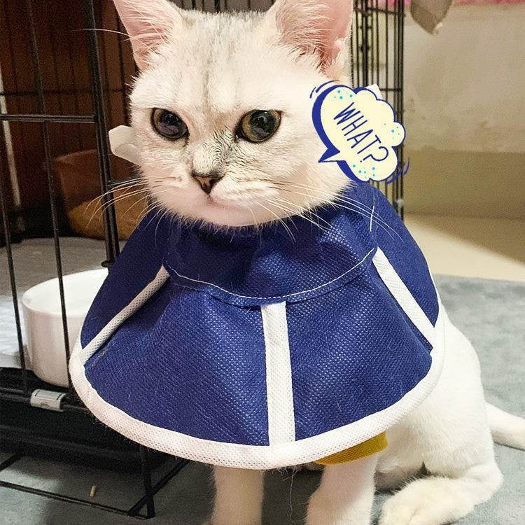HKM-5775933 Anti-Licking Cat Headwear Turban - Medical Elizabeth Ring Style (Blue) for Cats, Sizes S & M