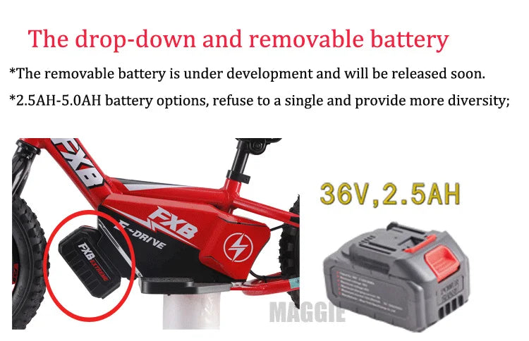 HKM-577683 12-Inch Electric Balance Bike for Kids Ages 3-8, 36V 2.5AH, Aluminum Frame, 250W Motor, Disc Brake, 50KG Load Capacity