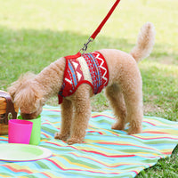 HKM-577875 Ethnic Style Dog Leash and Chest Strap Set in Polka-Dot Design for Small to Large Breeds