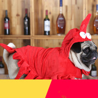 HKM-5782077 Red Aussie Dragon Pet Costume for Halloween - Sizes S, M, L, XL