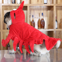 HKM-5782077 Red Aussie Dragon Pet Costume for Halloween - Sizes S, M, L, XL