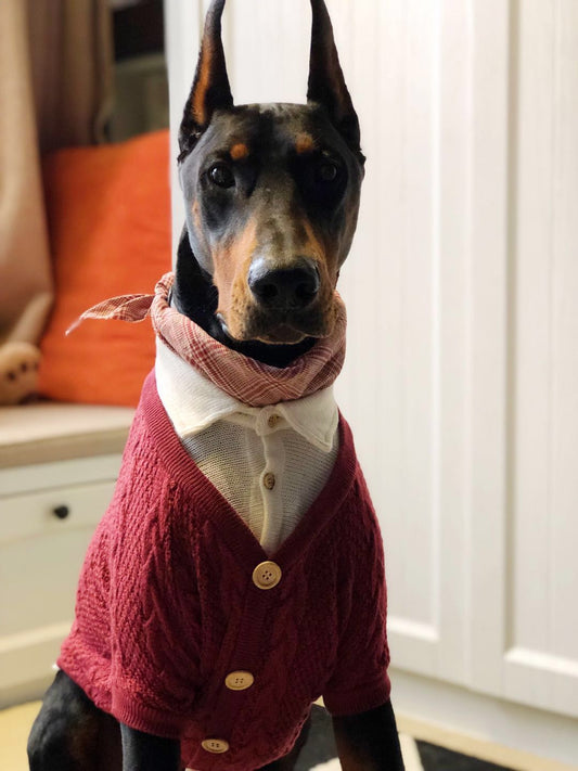 HKM-5787837 Cozy Casual Cardigan for Large Dogs - Cotton and Polyester Blend, Sizes 8 to 12