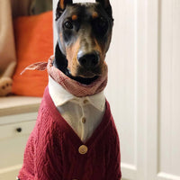 HKM-5787837 Cozy Casual Cardigan for Large Dogs - Cotton and Polyester Blend, Sizes 8 to 12