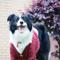 HKM-5787837 Cozy Casual Cardigan for Large Dogs - Cotton and Polyester Blend, Sizes 8 to 12