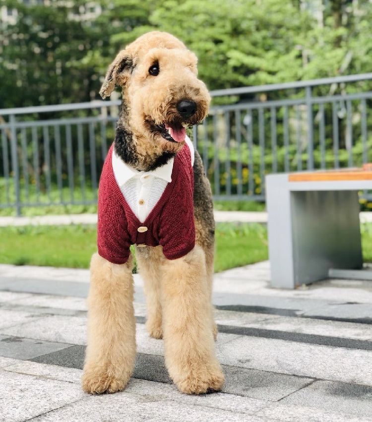 HKM-5787837 Cozy Casual Cardigan for Large Dogs - Cotton and Polyester Blend, Sizes 8 to 12