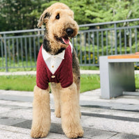 HKM-5787837 Cozy Casual Cardigan for Large Dogs - Cotton and Polyester Blend, Sizes 8 to 12