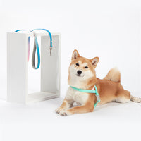HKM-5789245 Gradient PVC Pet Traction Rope - Durable and Comfortable for Small and Medium Dogs