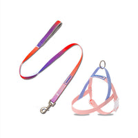 HKM-5789245 Gradient PVC Pet Traction Rope - Durable and Comfortable for Small and Medium Dogs