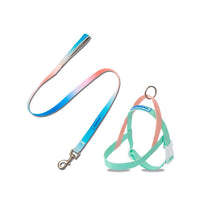 HKM-5789245 Gradient PVC Pet Traction Rope - Durable and Comfortable for Small and Medium Dogs