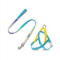 HKM-5789245 Gradient PVC Pet Traction Rope - Durable and Comfortable for Small and Medium Dogs