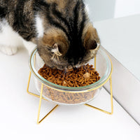 HKM-5789629 Tilted Glass Pet Bowl for Cats and Dogs - Available in Small 480ml and Large 800ml Sizes