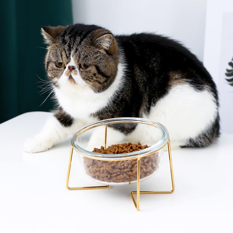 HKM-5789629 Tilted Glass Pet Bowl for Cats and Dogs - Available in Small 480ml and Large 800ml Sizes